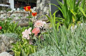 Alpenchalet Zum Jeremia - Foto 2