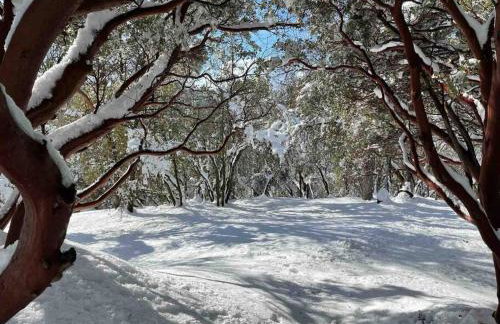 Modern House on 5 acr in Sequoia National Forest - Foto 32