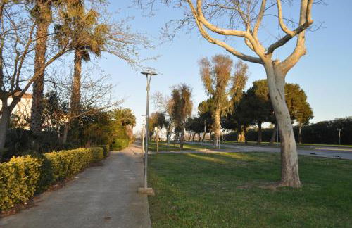 Near Beach - Foto 16