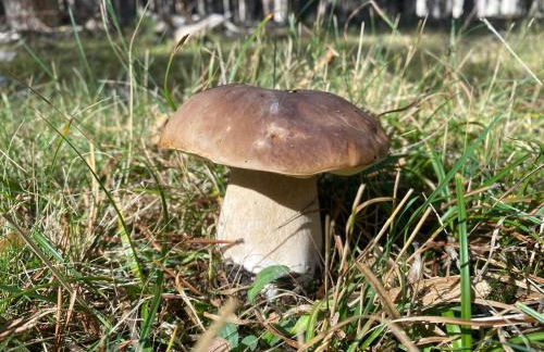 Casa Rural María Josefa - Foto 28