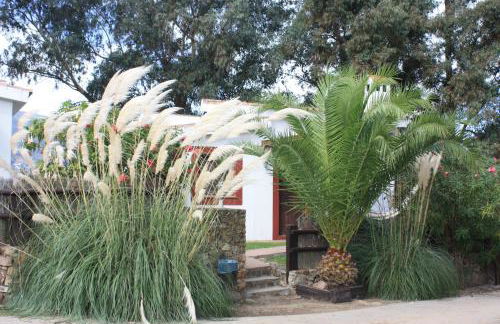 Molino El Mastral - Photo 45