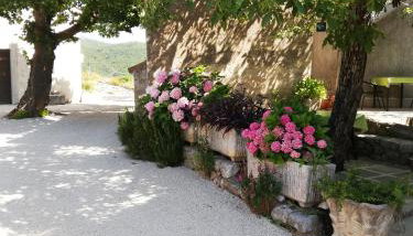 Apartments Renata - Brseč - Foto 3