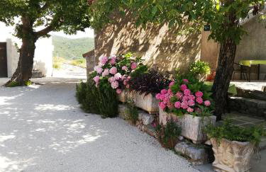 Apartments Renata - Brseč - Foto 3