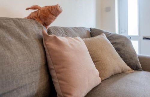 Mount Pleasant - Foto 6