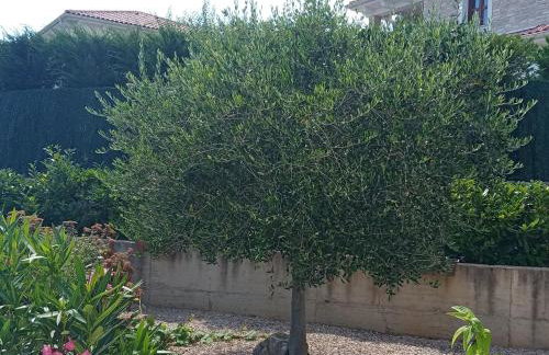 Villa Marie 5-Sterne - Foto 13