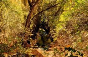 Alojamiento Rural Los Hacheros - Foto 45