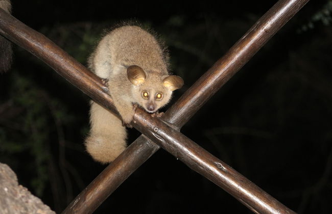 Kruger Kumba - Lahlekile Nathi - Photo 46