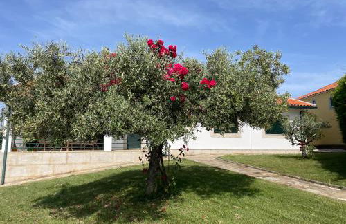 Quinta de Toubres - Foto 49