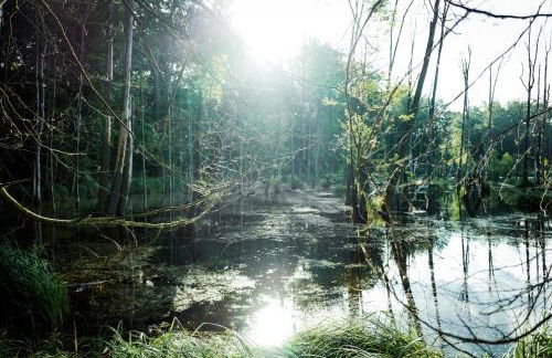 Feriendomizil Alter Garten - Photo 15