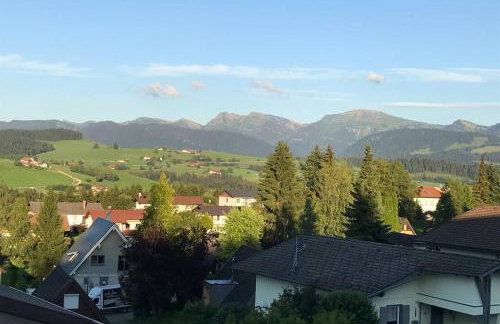 Oberreute - Modernes Zuhause mit Allgäu Aussicht - Foto 19