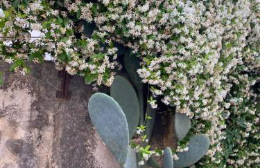 Lilly Apartment resort - Foto 20