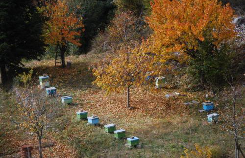 Dryades Guesthouse - Foto 39