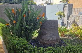 Vila Boa Nova Funchal - Foto 1