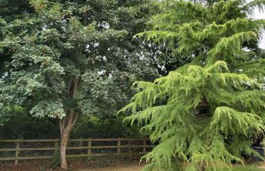 Chauffeur's, Snape - Foto 22