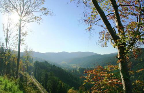 Ferienwohnung im Schwarzwald mit Garten - Foto 66