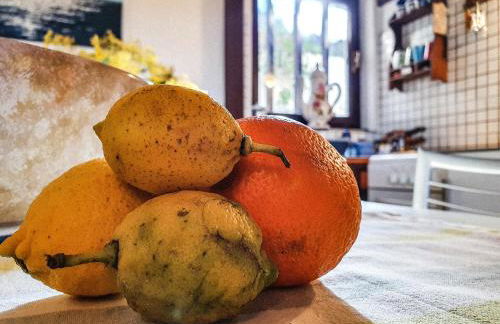 Casa Country - Foto 22