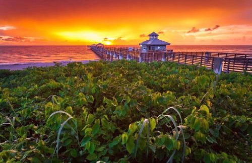 Golfers Paradise 4-hole PUTT-PUTT, Mega Chess with huge backyard, hammock - Photo 43