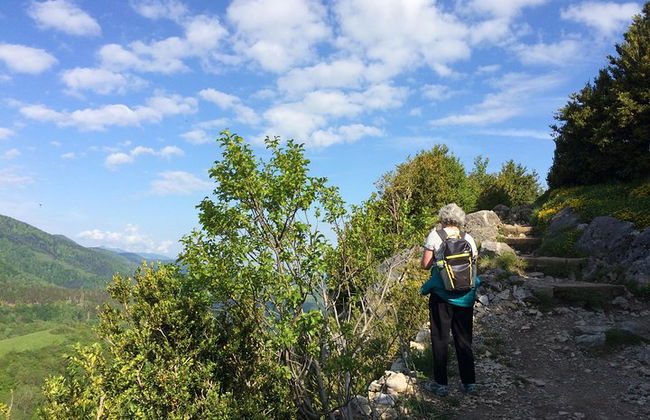 Tour di un giorno a Mirepoix, Montségur, Camon. Tour privato da Carcassonne - Foto 8