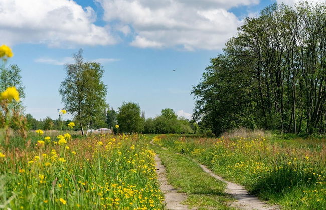 Colorful Chalet Near Amsterdam - Foto 22