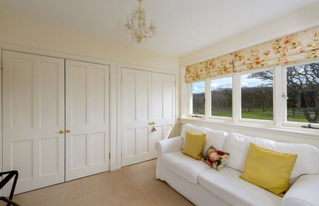 Green Craig - Foto 20