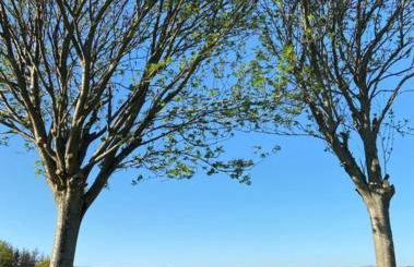 Ferienhaus Kleine Auszeit - Foto 57