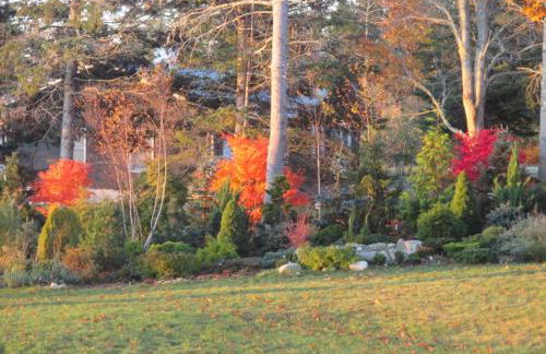 Acadia Ocean Front Garden Cottages - Foto 78