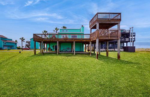 Lost Colony Lost Sea Turtle - Foto 35