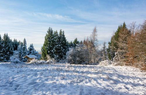 Holzhaus Harzville - Foto 22