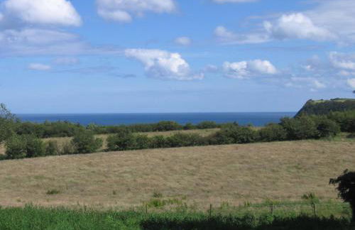 Whitestone Cottage - Foto 2