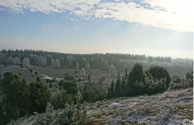 Heidetraum in der Pension Heidetraum - Photo 10