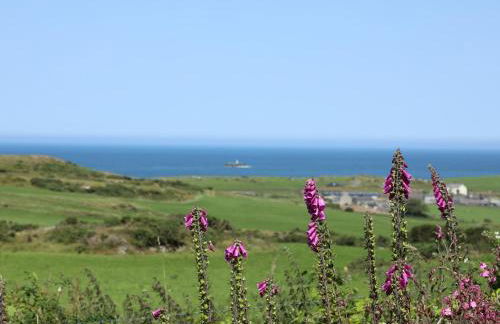 Hen Gilfach Stable - Foto 17