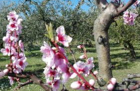 Country house bike friendly Famiglia Belleggia - Foto 14