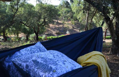 Casa do Pássaro - Photo 50