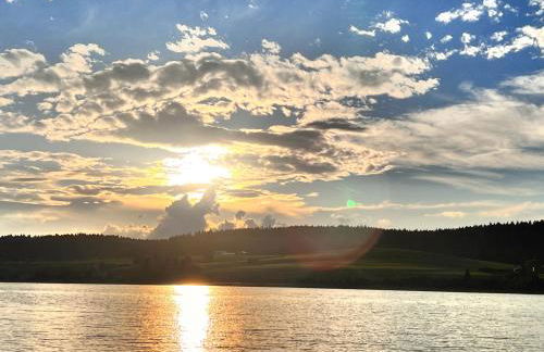 Chalet Charmant rénové au bord du Lac St Point - Foto 18