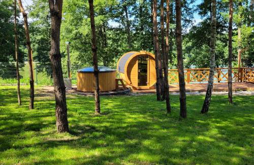 Leśna Kryjówka domki w lesie - Foto 24