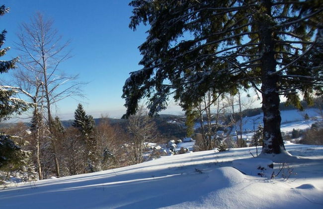 Holiday Apartment Schupp - Foto 27