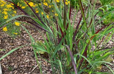 Ferienwohnung Am Haarhaus - Foto 22