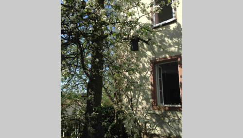 Liebevolles, altes Schulhaus im Vintage Stil - Foto 3