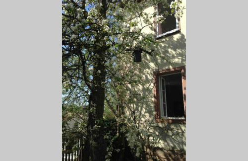 Liebevolles, altes Schulhaus im Vintage Stil - Foto 3