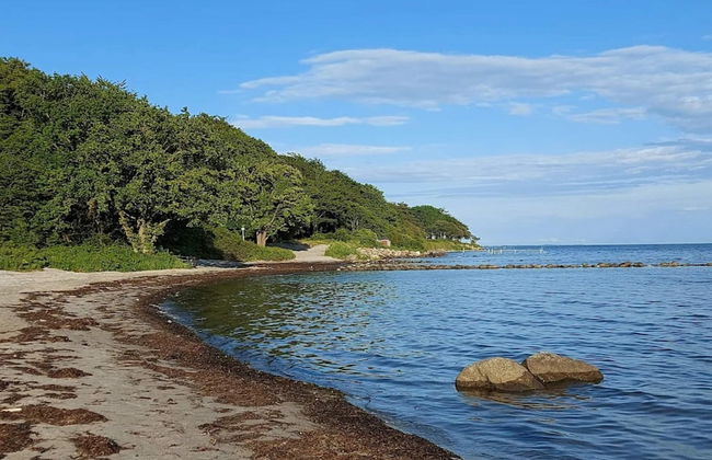 4 Star Holiday Home in Nysted - Foto 45