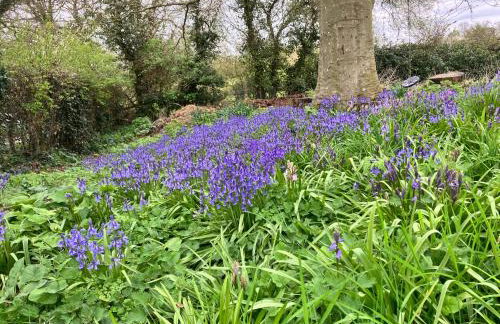 Simpers Drift, Great Glemham - Photo 18