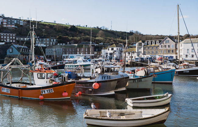 Cherry Orchard House - Foto 57