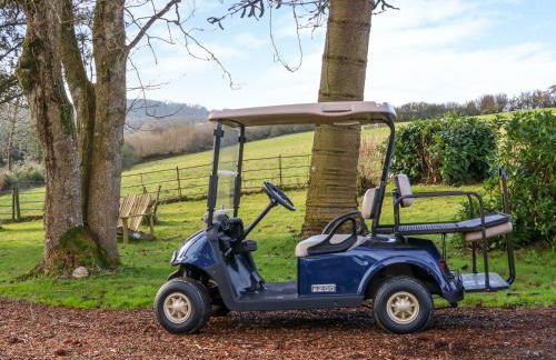 Little Silver Fox - Foto 21