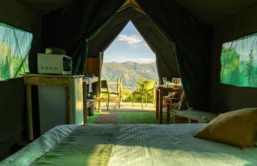 Safari Glamping Portugal Koi Fish - Foto 77