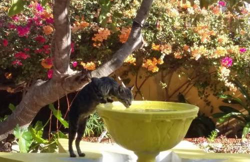 Beautiful house 5 minutes on foot to centre, Wi-Fi, parking, kitchen - Foto 32