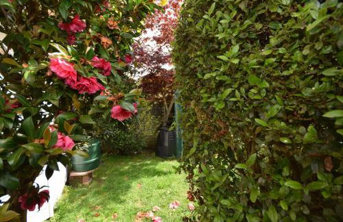 Birch End, Midhurst - Foto 12