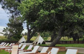 Vereniki 1 - Foto 33