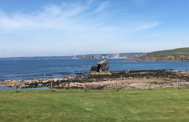 Pear Tree Cottage in South Milton - Foto 20