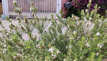 Villa BRIMI - Foto 2