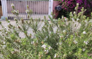 Villa BRIMI - Foto 2